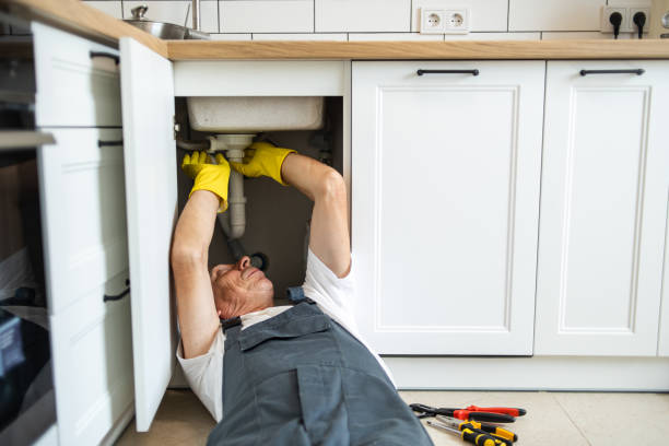 Best Local Plumber Services  in Bear Creek, AK