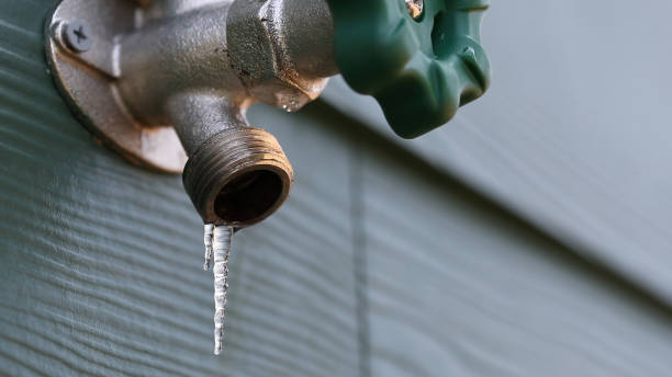 Best Leak Detection Services  in Bear Creek, AK